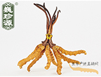 xĲ3l/ ڲ x؛r(ji)234Ԫ/