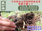 rxĲ շb 0.8/r(ji)80Ԫ/