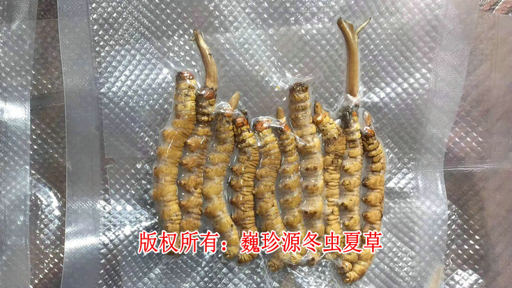 a(chn)x(chng)Ĳ,rx(chng)Ĳݲг,О锵(sh)ٵa(chn)x(chng)ĲЈ(chng)