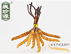 xĲ2.2l/ ڲ x؛r(ji)286Ԫ/