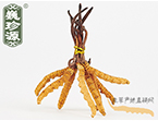 xĲ2l/ ڲ x؛r(ji)306Ԫ/